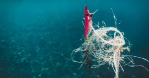 Featured image for 15 Must-Have Eco-Friendly Classroom Supplies for 2025